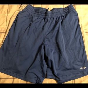Champion Athletic Shorts in Blue and Gray